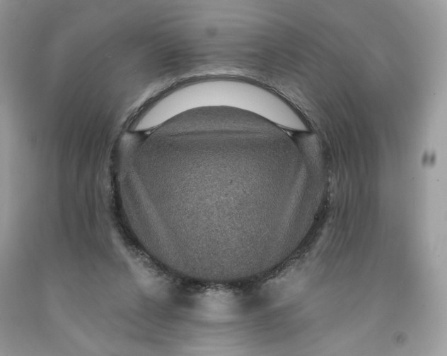 X0000091460256200709061802