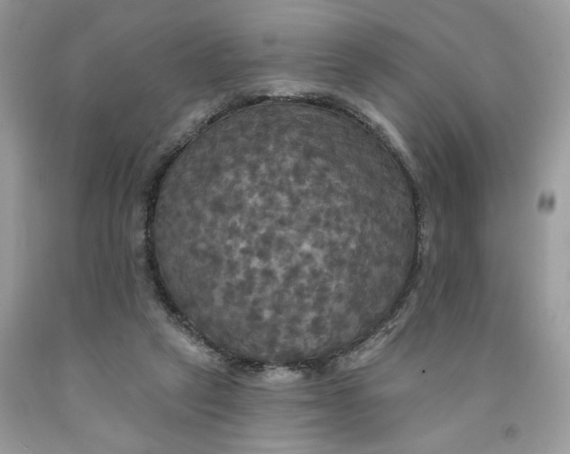 X0000091460257200709061802
