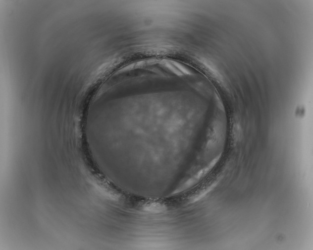 X0000091460258200709061802