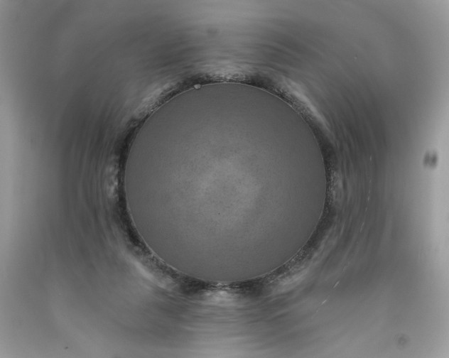 X0000091460259200709061802