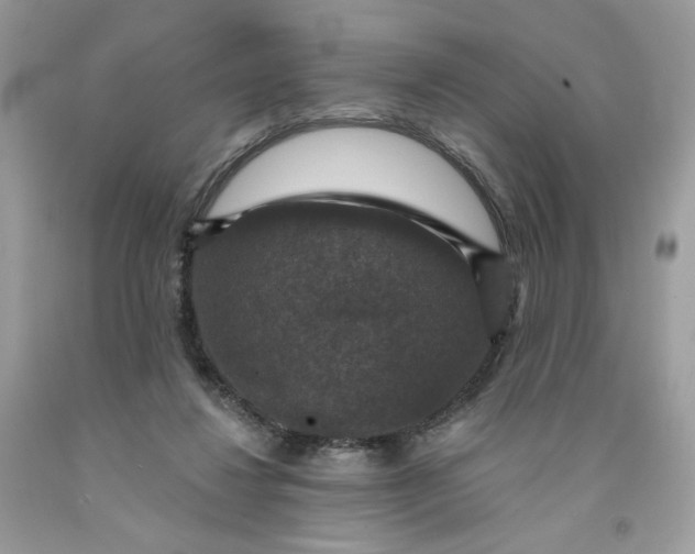 X0000091460260200709061803