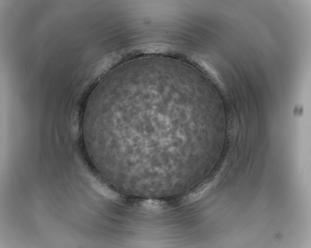 X0000091460261200709061803