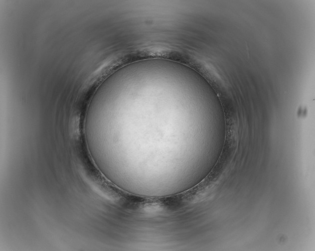 X0000091460262200709061803