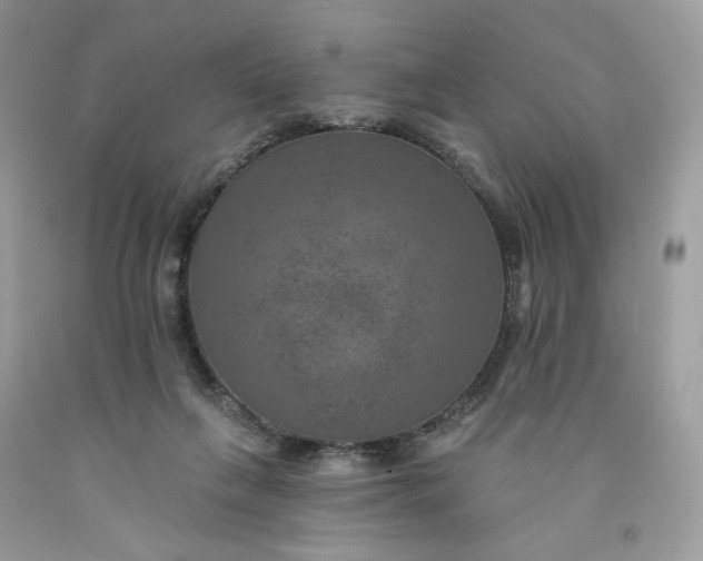 X0000091460263200709061803