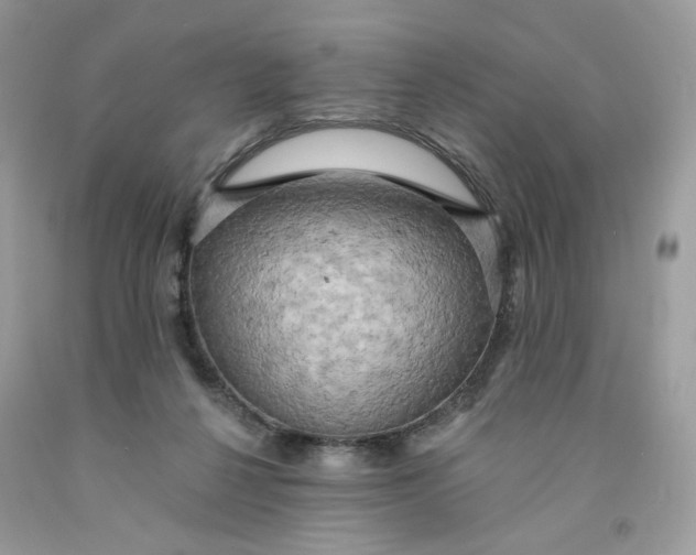 X0000091460264200709061803