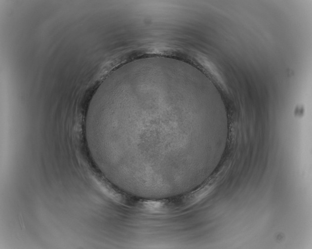 X0000091460265200709061803