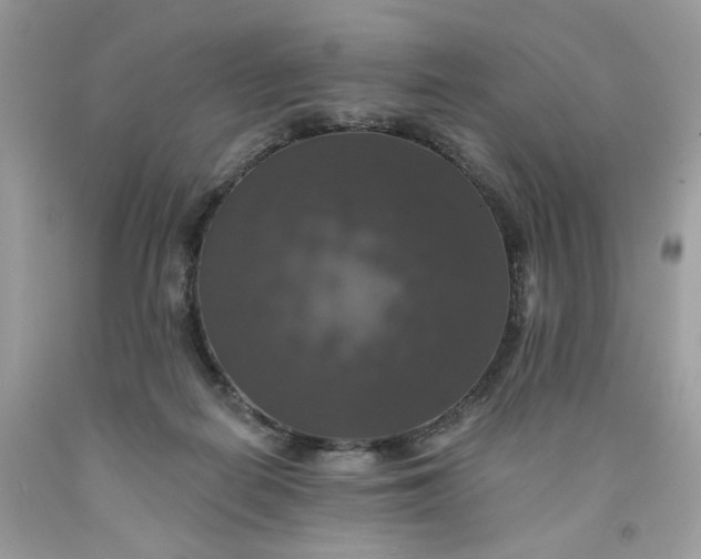 X0000091460266200709061803