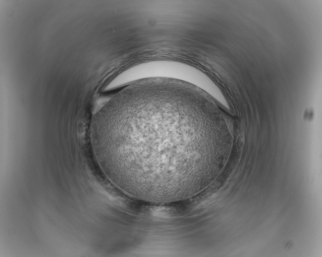 X0000091460268200709061803