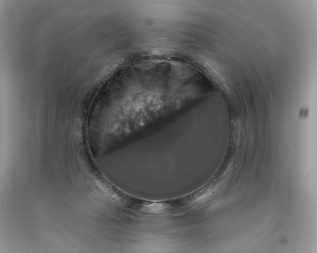 X0000091460269200709061803