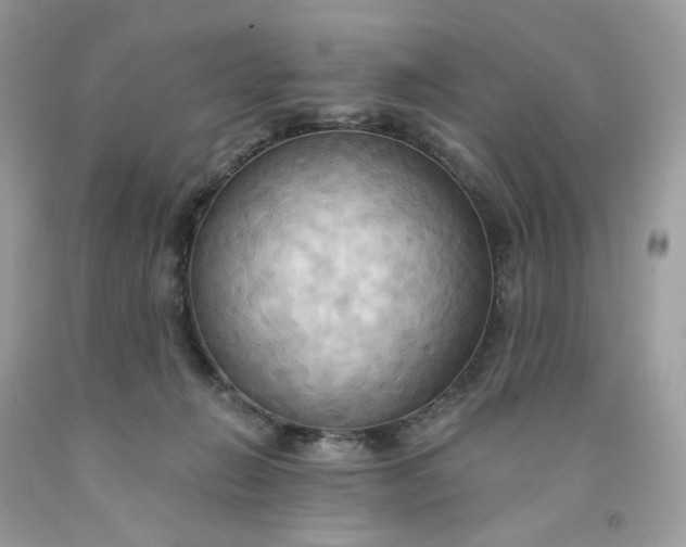 X0000091460270200709061803