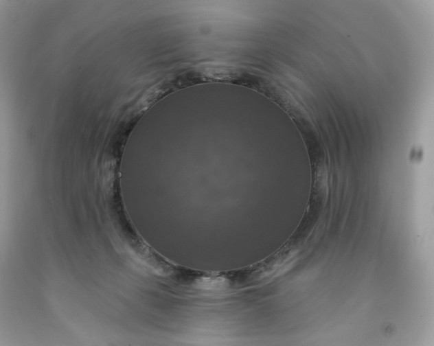 X0000091460271200709061803