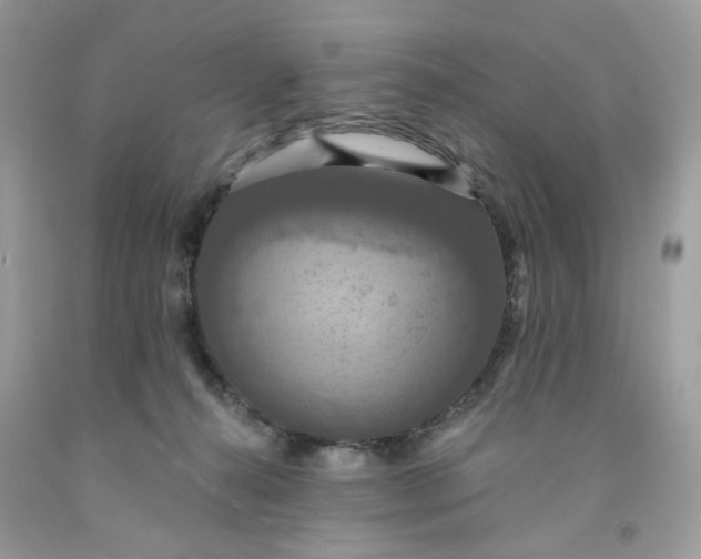 X0000091460272200709061803