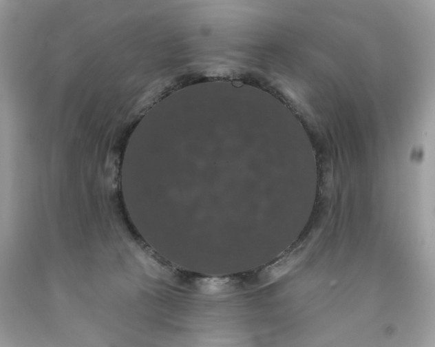 X0000091460273200709061803