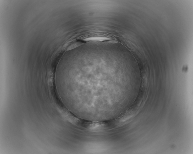 X0000091460274200709061803