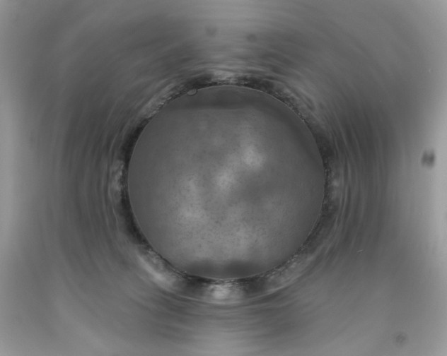 X0000091460275200709061803