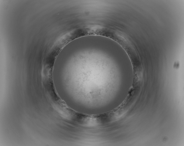 X0000091460276200709061803