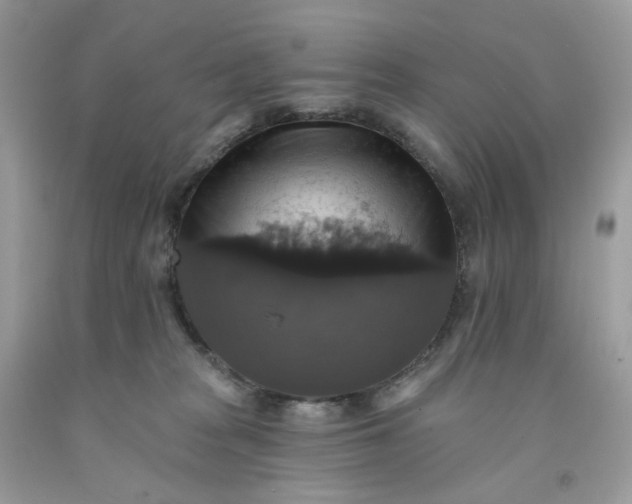 X0000091460277200709061803