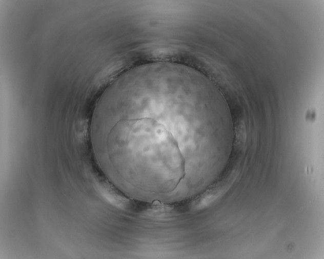 X0000091460278200709061803