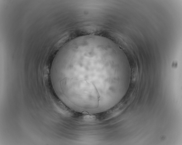 X0000091460279200709061803