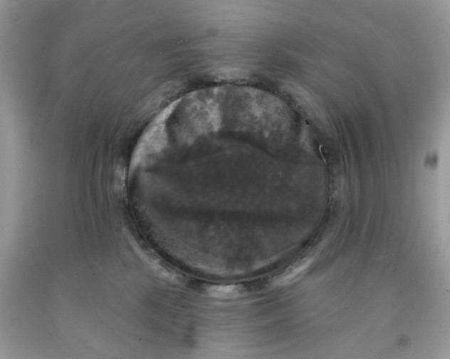 X0000091460281200709061803