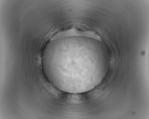X0000091460282200709061803