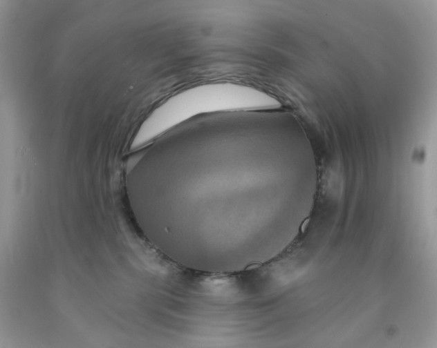 X0000091460283200709061803