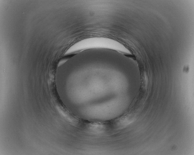 X0000091460284200709061803