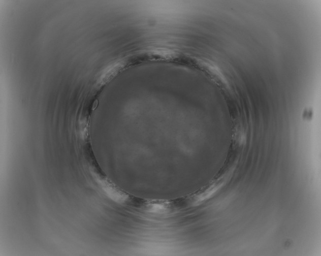 X0000091460285200709061803