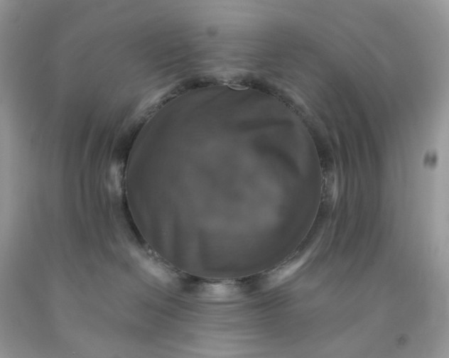 X0000091460286200709061803