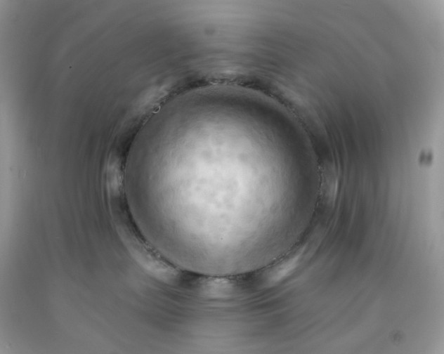 X0000091460287200709061803