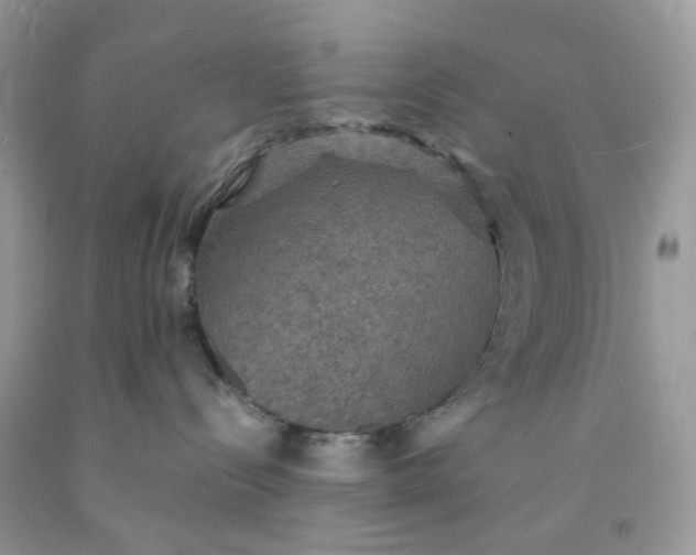 X0000091460288200709061803