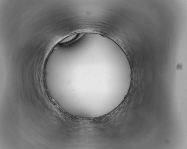 X0000091460289200709061802