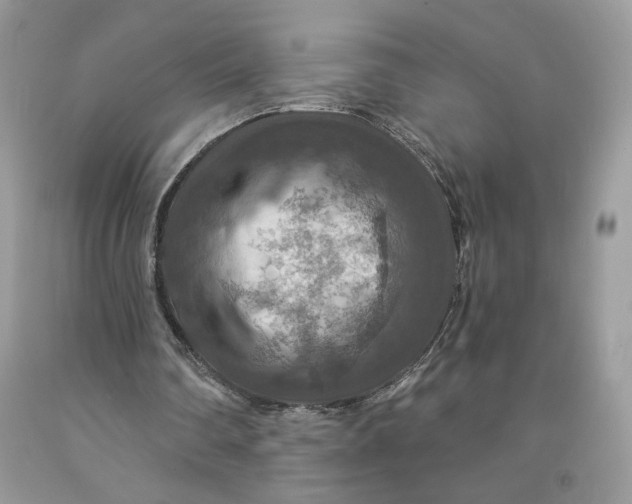 X0000091460290200709061802