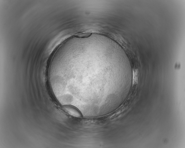 X0000091460291200709061802