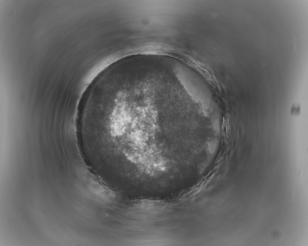 X0000091460292200709061802