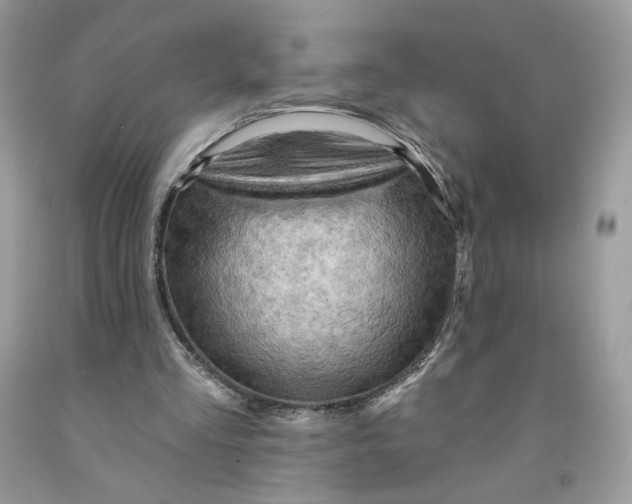 X0000091460293200709061802