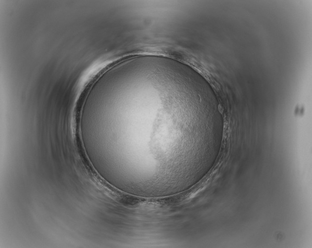 X0000091460294200709061802