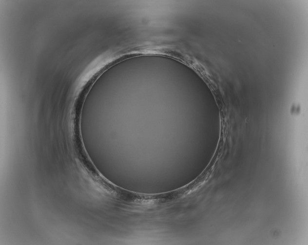 X0000091460295200709061802