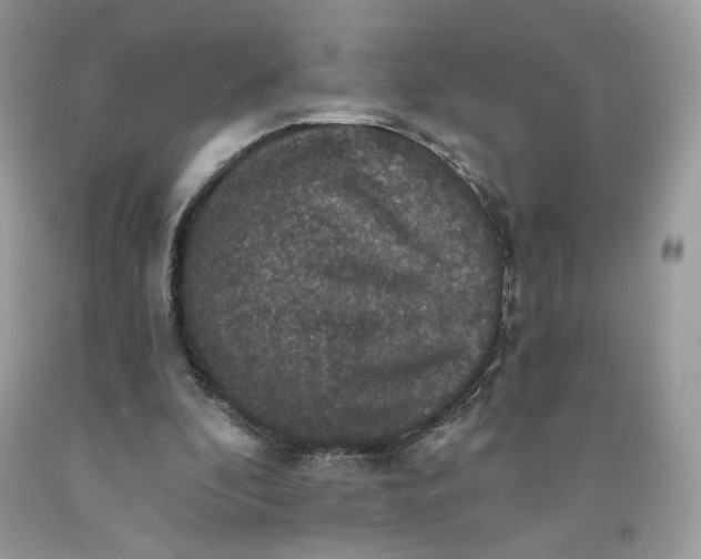 X0000091460296200709061802