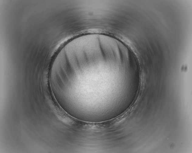 X0000091460297200709061802