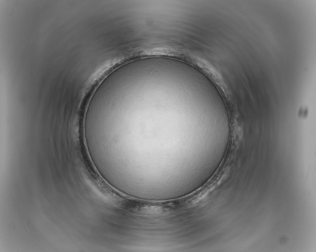 X0000091460298200709061802