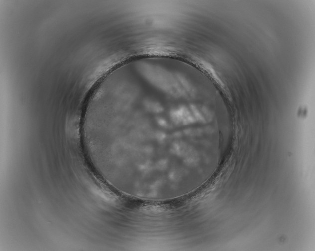 X0000091460299200709061802