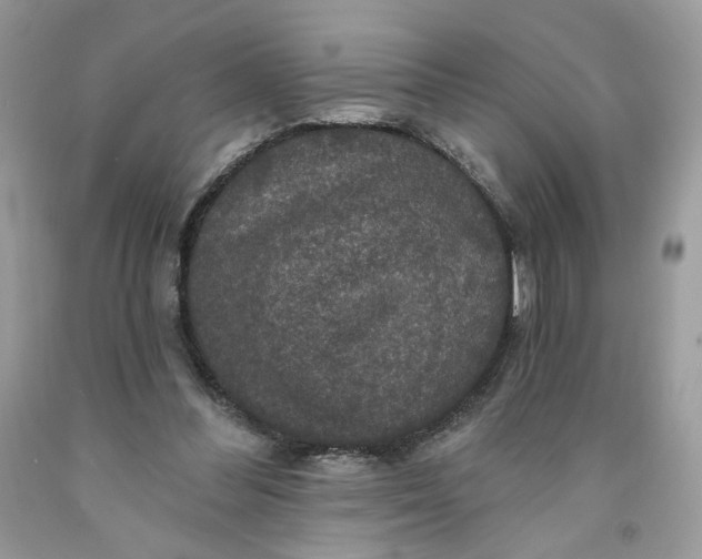 X0000091460300200709061802