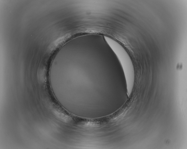 X0000091460303200709061802