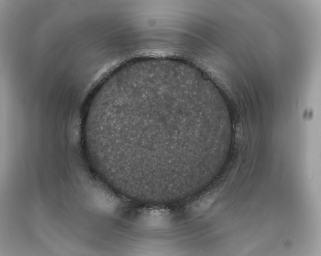 X0000091460304200709061802