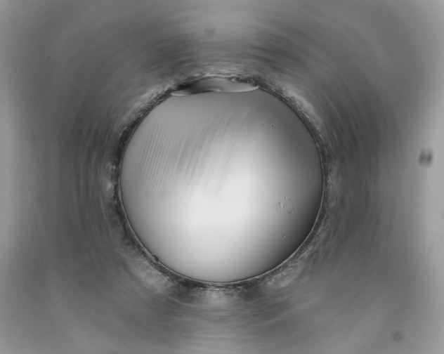X0000091460305200709061802