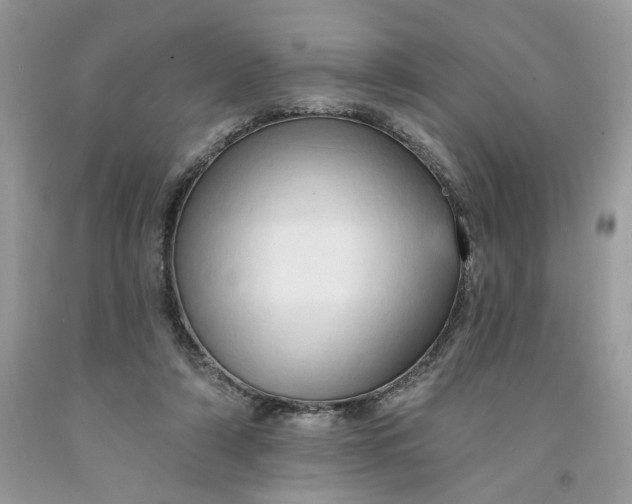 X0000091460306200709061802