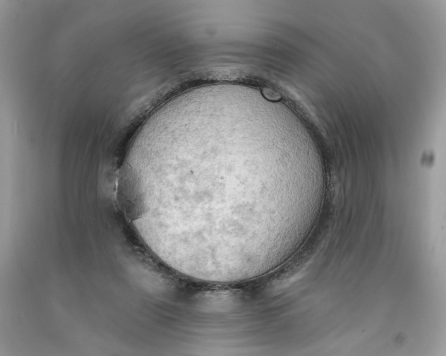 X0000091460307200709061802