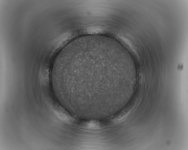 X0000091460308200709061802