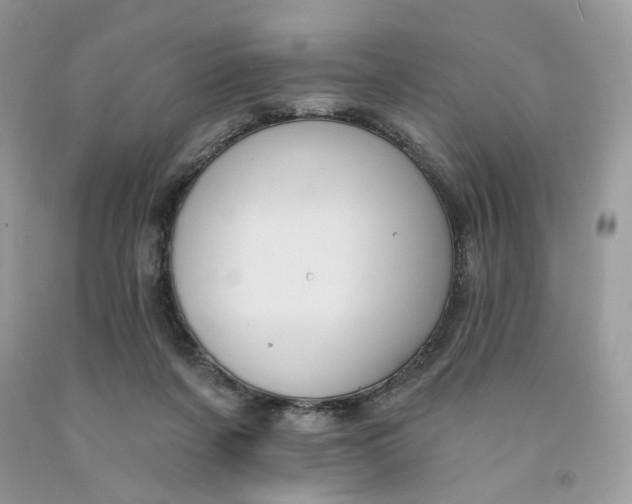 X0000091460311200709061802